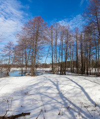 Snowy field with trees and a body of water