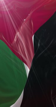 Flag of Jordan. 4K Vertical. Loop
