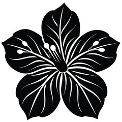 Hibiscus black and white flower vector