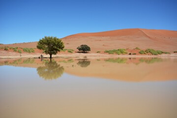 Wasser im Sossusvlei