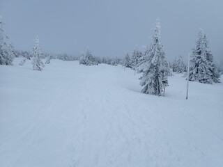 Obraz premium krkonose mountains in winter with snow