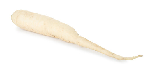 Whole fresh turnip isolated on white. Vegetable root