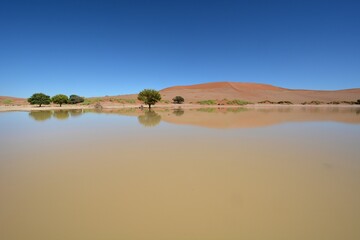 Wasser im Sossusvlei
