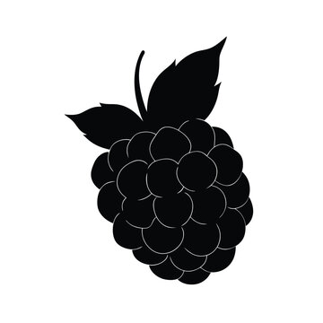 black blackberry fruit with leaves clip art preview