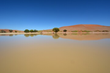 Wasser im Sossusvlei