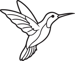 hummingbird line art, black outline, vector and illustration, line art and outline