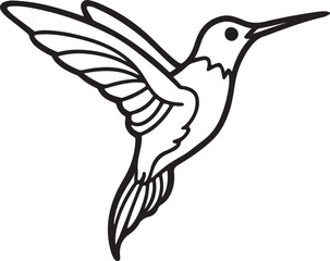 hummingbird line art, black outline, vector and illustration, line art and outline
