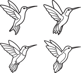 set of hummingbird line art, black outline, vector and illustration, line art and outline