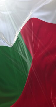 Flag of Madagascar. 4K Vertical. Loop