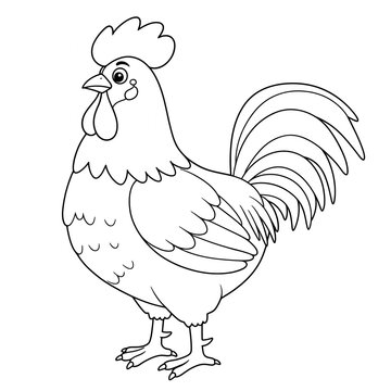 rooster coloring 