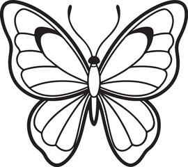 butterfly line art, black outline, vector and illustration, line art and outline