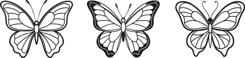 set of butterfly line art, black outline, vector and illustration, line art and outline