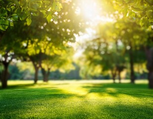 defocused blur background of garden trees in sunlight