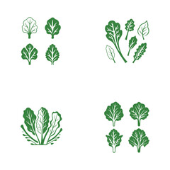 Green leafy vegetables, hand-drawn illustration