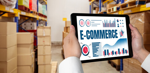 E-commerce data software provide modish dashboard for sale analysis to the online retail business