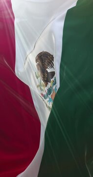 Mexico flag. 4K Vertical. Loop