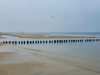 Buhnen auf Usedom