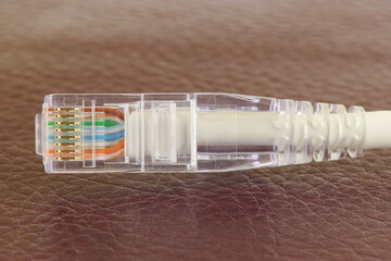 Rj45 Ethernet connector on a colored background. Close-up. 