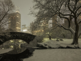 Snow storm in Central Park at night