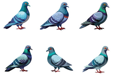 Fototapeta premium realistic or stylized pigeon vector illustration