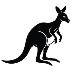 kangaroo vector illustration