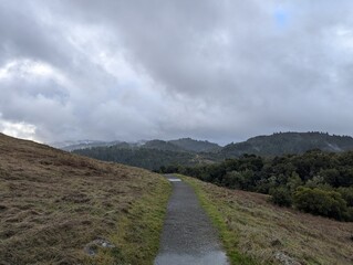 A hiking trail on a cloudy, winter day