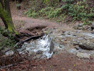 Creek crossing on the trail