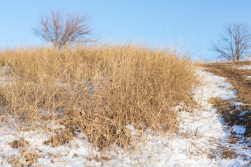 Landscape with beautiful nature during the cold winter season in the Republic of Moldova.