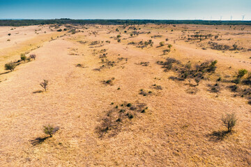 A panoramic aerial view of Serbia Deliblatska Pescara desert reveals a vast expanse of empty plains and rolling hills under a clear sky