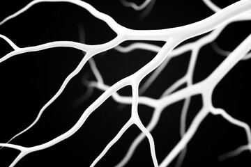 A minimalistic abstract design featuring a network of branching white lines against a solid black background, creating a striking high-contrast visual effect.