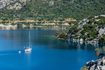 white boat on the sea near the forest