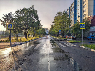 Obraz premium Asphalt road after rain. Pedestrian crossing