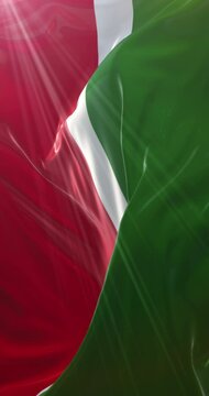 Flag of Tatarstan. 4K Vertical. Loop
