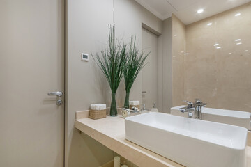 Panoramic mirror in the interior of the bathroom, decorated in pastel colors. A green plant in a vase and hygiene products on the table.