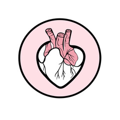 Obraz premium Stylized heart illustration with arteries and veins inside a larger heart shape symbolizing love and life, icon