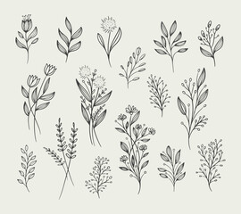 seamless floral pattern hand draw vector Illustration flowers set