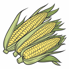 corn on a white background