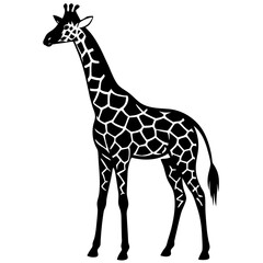 Fototapeta premium giraffe black silhouette vector, Simple silhouette Design vector icon with white background. Wild animal vector 