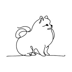 Continuous line drawing of a Pomeranian dog, depicted sitting with its fluffy tail raised and sharp ears, symbolizing elegance, cuteness, and loyalty through minimalist design.