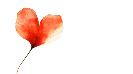 Minimalist Red Heart with Clean White Background and Copy Space