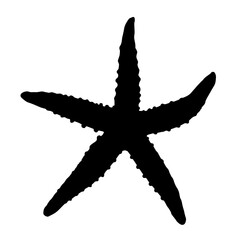 starfish. Black Silhouette of a Sea Star with Five Rays on a White Background, Slightly Uneven Edges