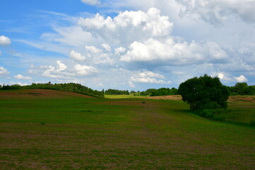 A view of a vast field, meadow, or pastureland with crops growing on it and a small observation or wooden tower located next to it seen on a cloudy summer day before a thunderstorm in Poland