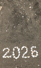 the figures of 2026 are laid out on the sand of shells