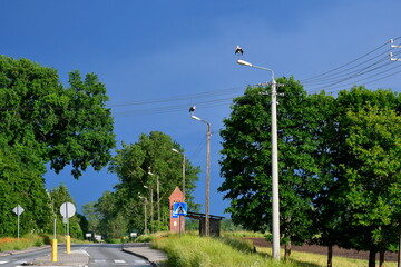 A view of numerous storks sitting on lampposts situated next to some forests, fields, and meadows,...