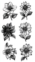 Obraz premium Elegant Black and White Floral Illustrations for Artistic Projects