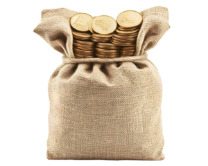 A bag of golden coins, symbolizing wealth, fortune, and financial prosperity.