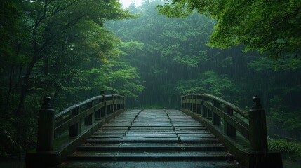 Serene Rainy Day in a Lush Green Forest with a Stone Bridge