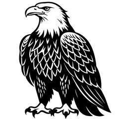 bald eagle bird black silhouette vector, Simple silhouette Design vector icon with white background. Wild Animal Vector. Bird Vector 