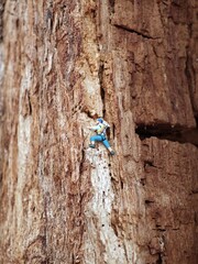 Miniatur Kletterfigur auf Baumstamm