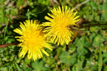 Weißenbach am Lech Österreich